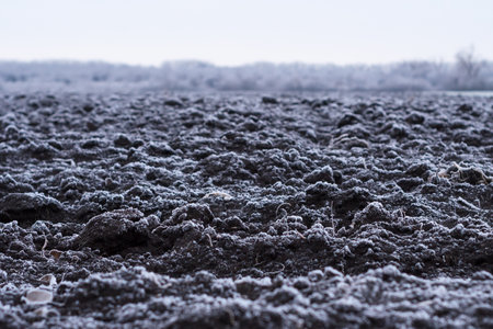 Winter landscape. Field covered with frost. Cold weather.の写真素材