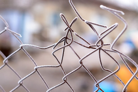 Winter. Wire mesh covered with hoarfrost close-up.の写真素材