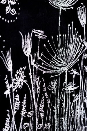 Handmade figure ornamental flowers with white chalk on a blackboardの写真素材