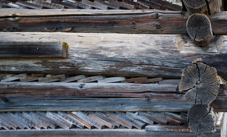 Old wooden unpainted wall of the house of round logs and chopped planks stacked between the logs