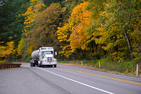 White classic semi truck rig with tank and protection grille and windows at high cabin on the highway multi-lane road surrounded by autumn yellow and green trees, carrying liquid cargo.のeditorial素材