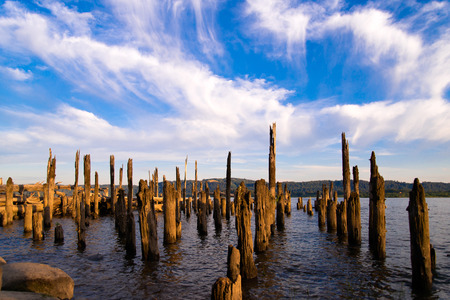 Remains of old pier sticking out of water の写真素材