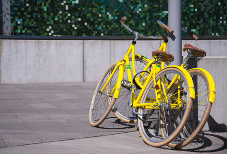 Two bright yellow bike stand next as an illustration of common interest and affection of two loving people spending the weekendの写真素材