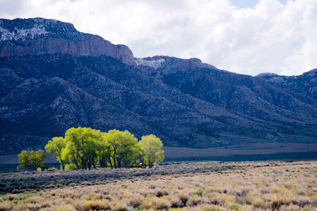 The green trees island with a house and semi-subsistence farming in the middle of in Nevada against the backdrop of a huge blue mountain range, situated along the edge of the plateau, overgrown with small bushes.の写真素材
