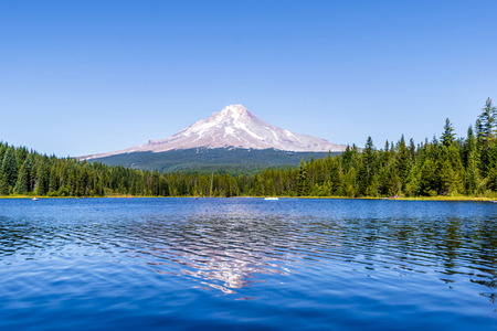 Landscape of the picturesque Trillium Lake surrounded by forest overlooking Mount Hood and the reflection of snowy mountain in the clear water of the lake where people like to restの写真素材