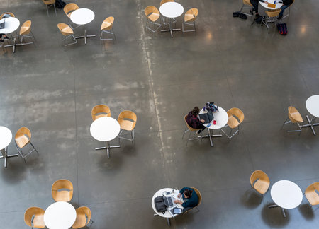 Students of an educational institution study the material studied on their own using laptops with...