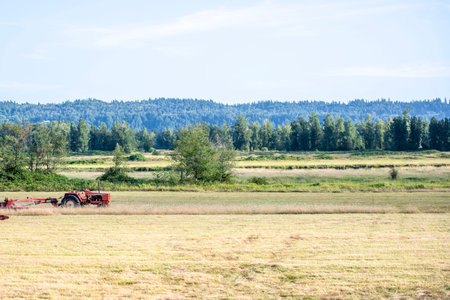 Picturesque autumn landscape of a mowing meadow with a tractor and a strip of forest on the horizon...