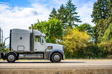 White classic big rig industrial professional semi truck with vertical pipes and horns on the roof transporting cargo in covered bulk semi trailer running on the flat highway road with green treesの写真素材