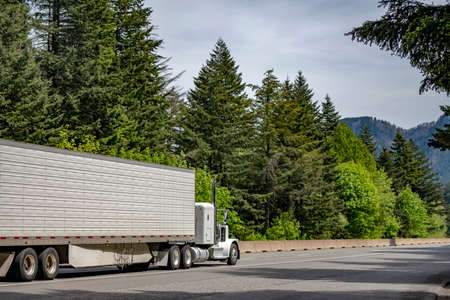 White classic big rig semi truck tractor with chrome accessories and vertical exhaust pipes transporting cargo in refrigerator semi trailer running on the green forest highway road in Columbia Gorgeの写真素材