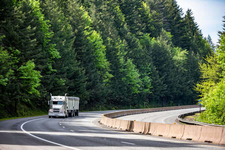 White classic big rig long haul industrial semi truck tractor transporting cargo in covered low profile bulk semi trailer running on curving highway road with green mountain forest in Columbia Gorgeの写真素材