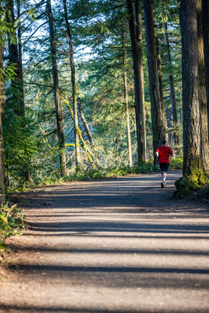 Man in activewear exercise runs along a winding wild deciduous forest path, preferring active...