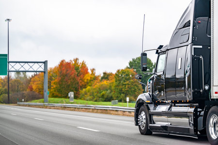 Industrial black long haul big rig high cab semi truck tractor transporting cargo in dry van semi trailer running on the straight narrow highway road along the autumn colorful maple treesの写真素材
