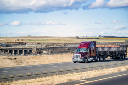 Industrial long hauler big rig red semi truck tractor with high cab with spoiler transporting agricultural products cargo in open bulk semi trailer driving on the road along the fieldsの写真素材