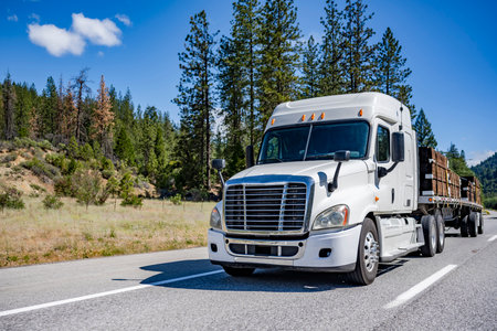 Industrial standard commercial big rig long hauler white semi truck tractor transporting fastened lumber on the flat bed semi trailer driving on the highway road going beyond the horizonの写真素材
