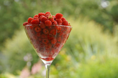 raspberries in a glass in the summer on the tableの写真素材