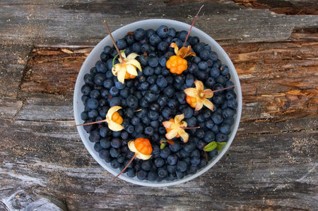 a plate of blueberries on a tree