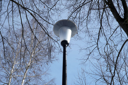 modern street lamp on a background of blue sky and tree branches