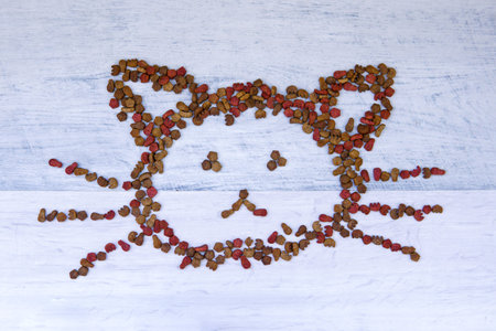 drawing of a cat on the floor of dry cat food on wooden tableの写真素材