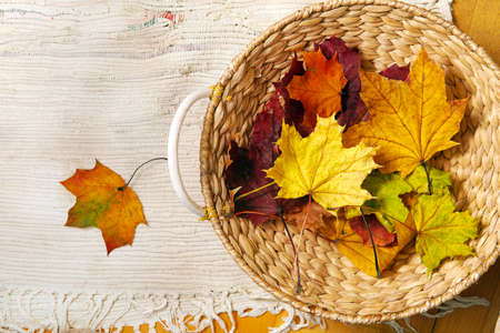 a basket of maple orange leaves on the carpet. top viewの写真素材