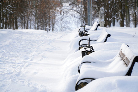 Park in the snow. Winter benches snowdrifts.
