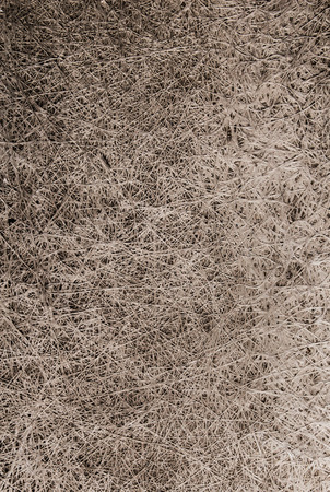 Texture of fiber glass tissueの写真素材