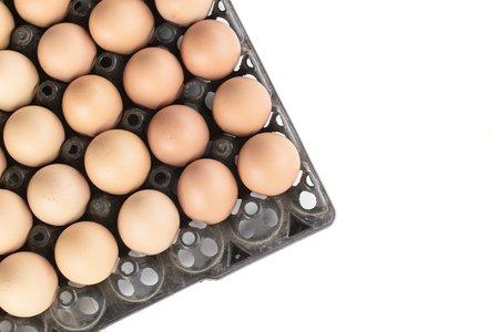 Egg in tray with isolateの写真素材