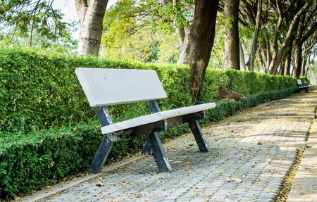 concrete bench for rest in a green park with treesの写真素材
