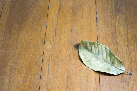 dry leaf on wooden  texture backgroundの写真素材