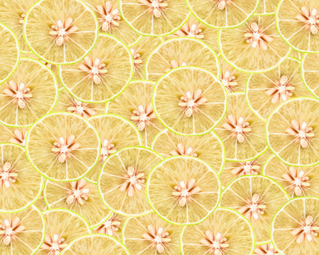 pattern of lemon for background.の写真素材