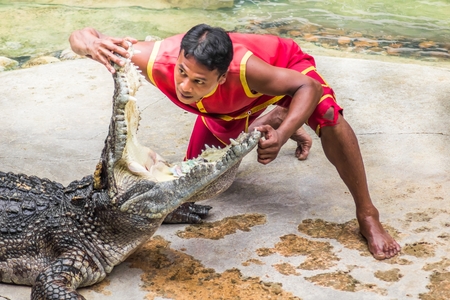Thailand, Samutprakan,June 11, 2017: Actors are putting their head into the crocodile mouth. At Samut Prakan Crocodile Farm and Zoo.のeditorial素材