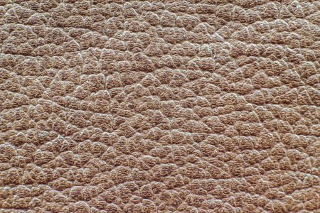 Animal skin texture close up for background.の写真素材