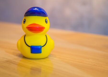 Yellow duck doll.の写真素材