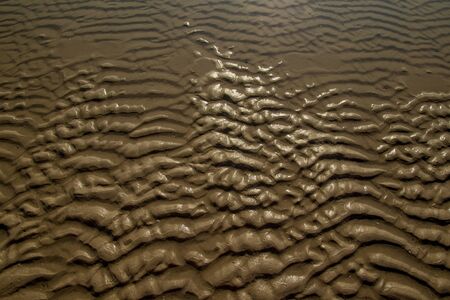 Texture of sands and sea on the beach for background.の写真素材