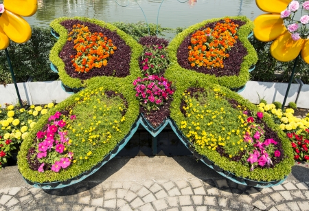 Bunch of colorful flowers in butterfly shapeの写真素材