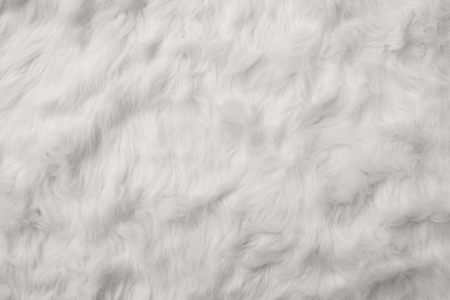 Sheep Wool as backgroundの写真素材
