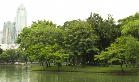 city park with modern building backgroundの写真素材