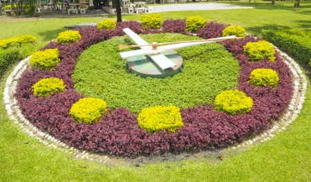 Flower Clockの写真素材