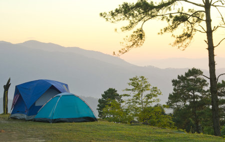  Tent camping in a campground  with a morning light  in the high country.