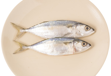 Mackerel fishes on plateの写真素材