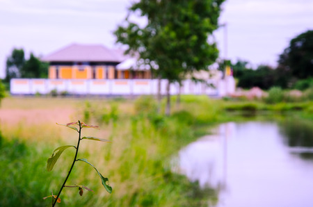 full canal in ruralの写真素材