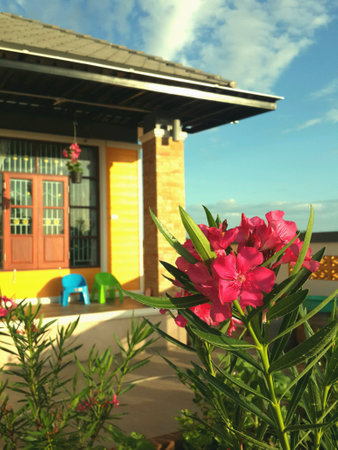 Red flower infront of house.の素材