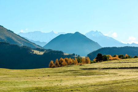 Autumn in mountains, fall yellow forest on the morning