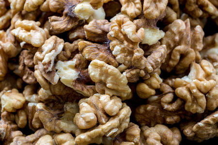 Raw fresh organic peeled walnuts.の写真素材