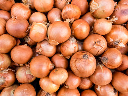 Fresh organic onion on the farmers market. Close-up onion background. Healthy vegan food.の写真素材