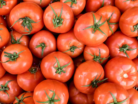 Red fresh organic tomatoes on the farmers market. Close-up tomato background. Healthy vegan food.の写真素材