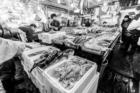 Tokyo, Japan - January 15, 2010: Early morning at Tsukiji Fish Market. The first customers buy fresh fish. Tokyo, Japan.のeditorial素材