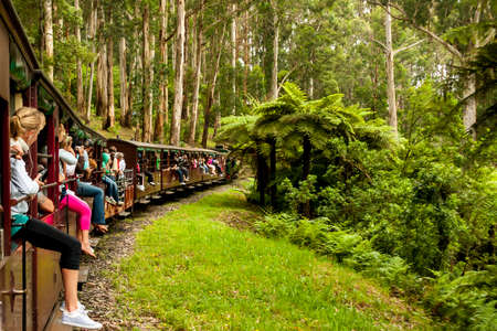 Melbourne, Australia - January 7, 2009: Puffing Billy steam train with passengers. Historical narrow railway in the Dandenong Ranges near Melbourne.のeditorial素材