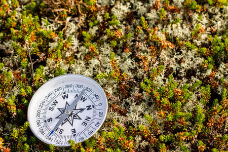 Reliable compass on moss in tundra. Concept for traveling and active lifestyleの写真素材