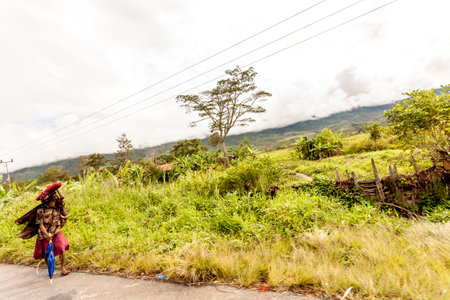 Wamena, Indonesia - January 9, 2010: Dani woman bear the load along a rural road in the Baliem Valley, Wamena, Papua New Guinea.のeditorial素材
