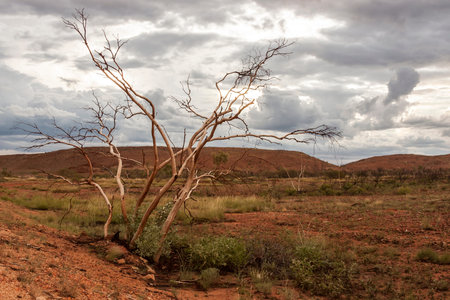 Red center in the Australian desert, outback in Northern Territory, Australia